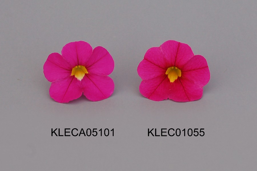 KLECA05101