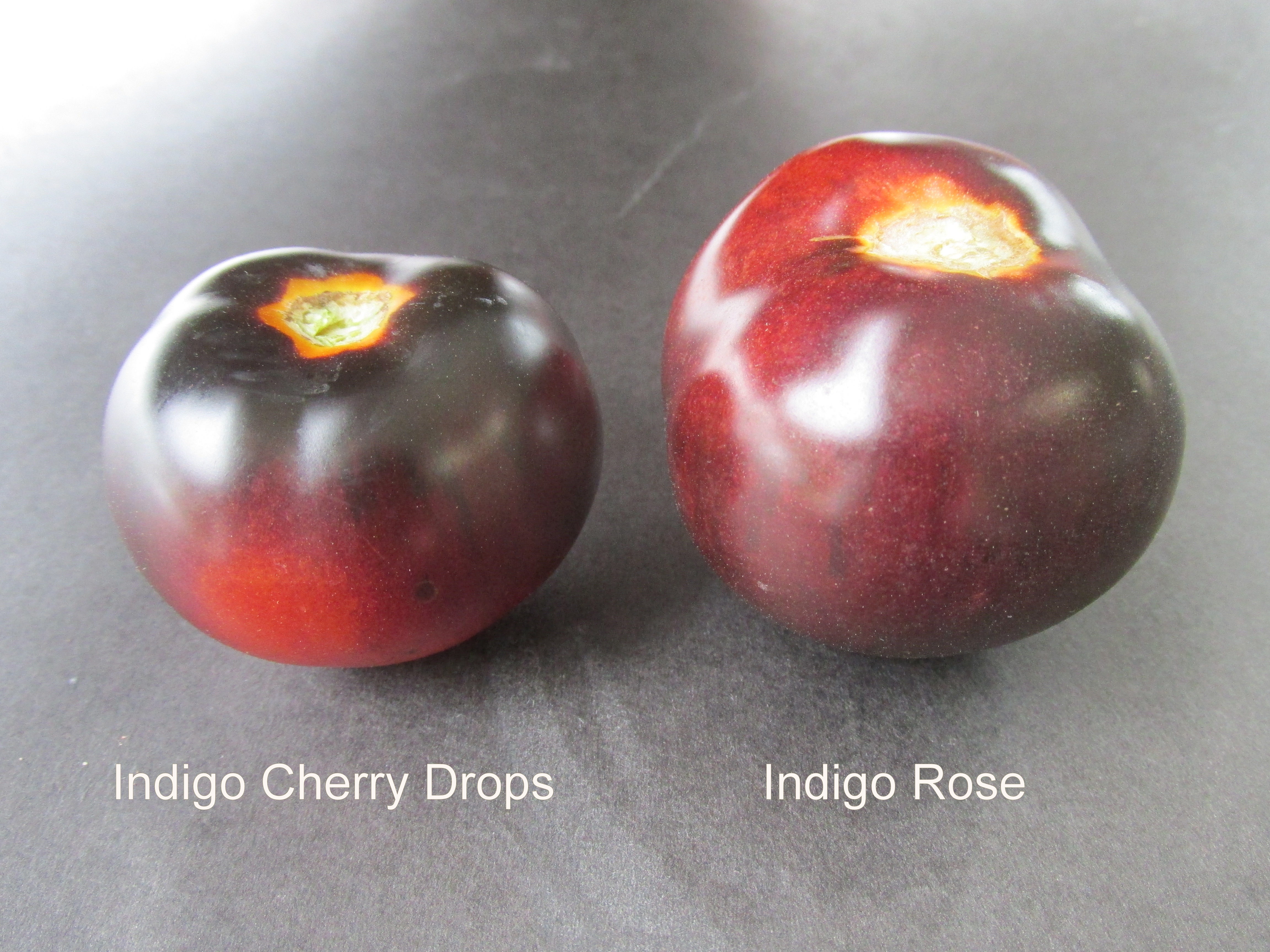 Indigo Cherry Drops