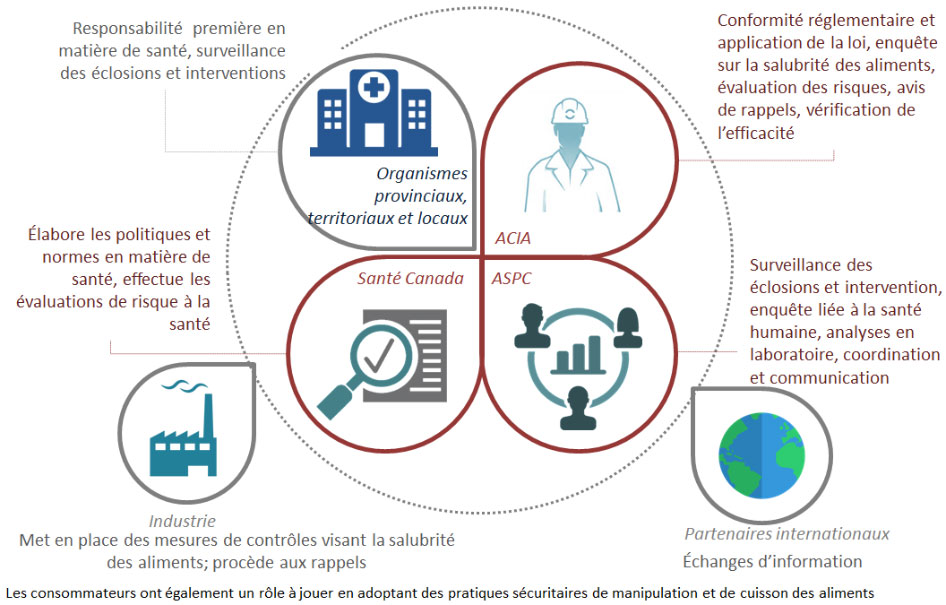 Graphiquet - Annexe 1 : Salubrité des aliments : une responsabilité conjointe. Description cidessous.