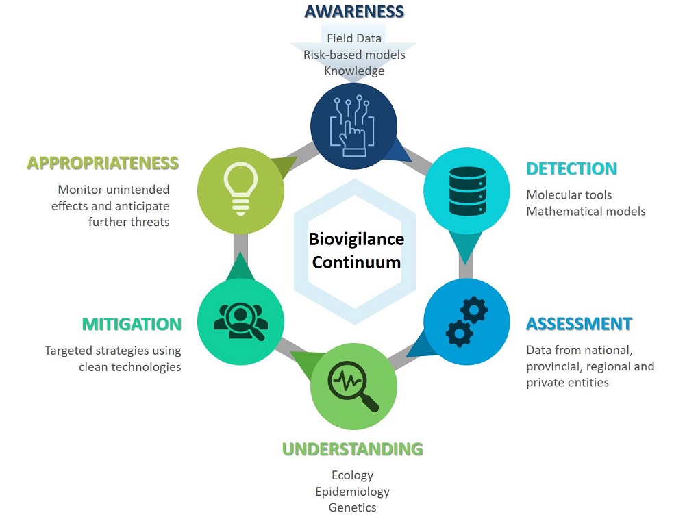 The Biovigilance Continuum. Description follows.