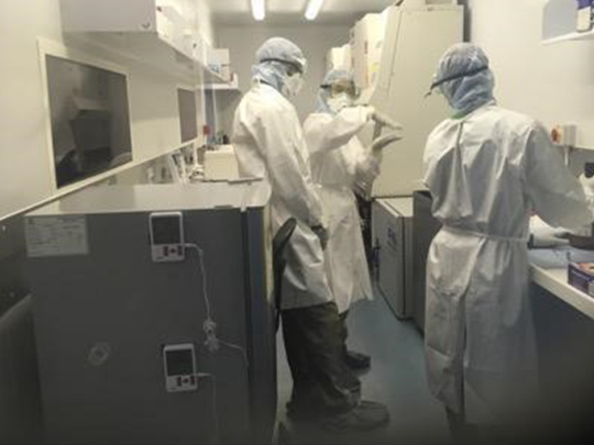 Training at the Pong-Tamale Veterinary Services lab in Ghana. (2019)