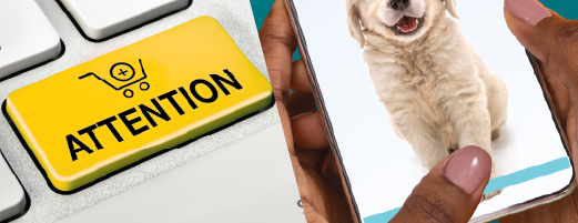 Cybercommerce, animaux