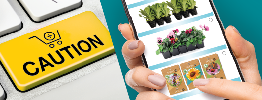 E-commerce, plant