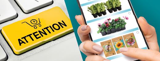Cybercommerce, plantes