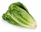 Lettuce
