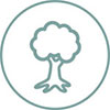 image d'un arbre dans un cercle