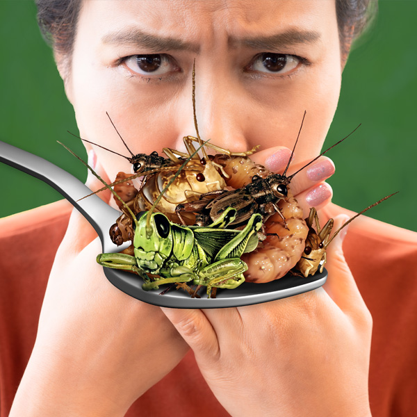 I found a bug in my food! I found a bug in my food!