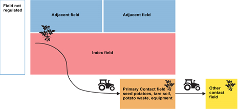 Figure 1. Description follows