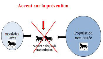 La description de cette image suit.
