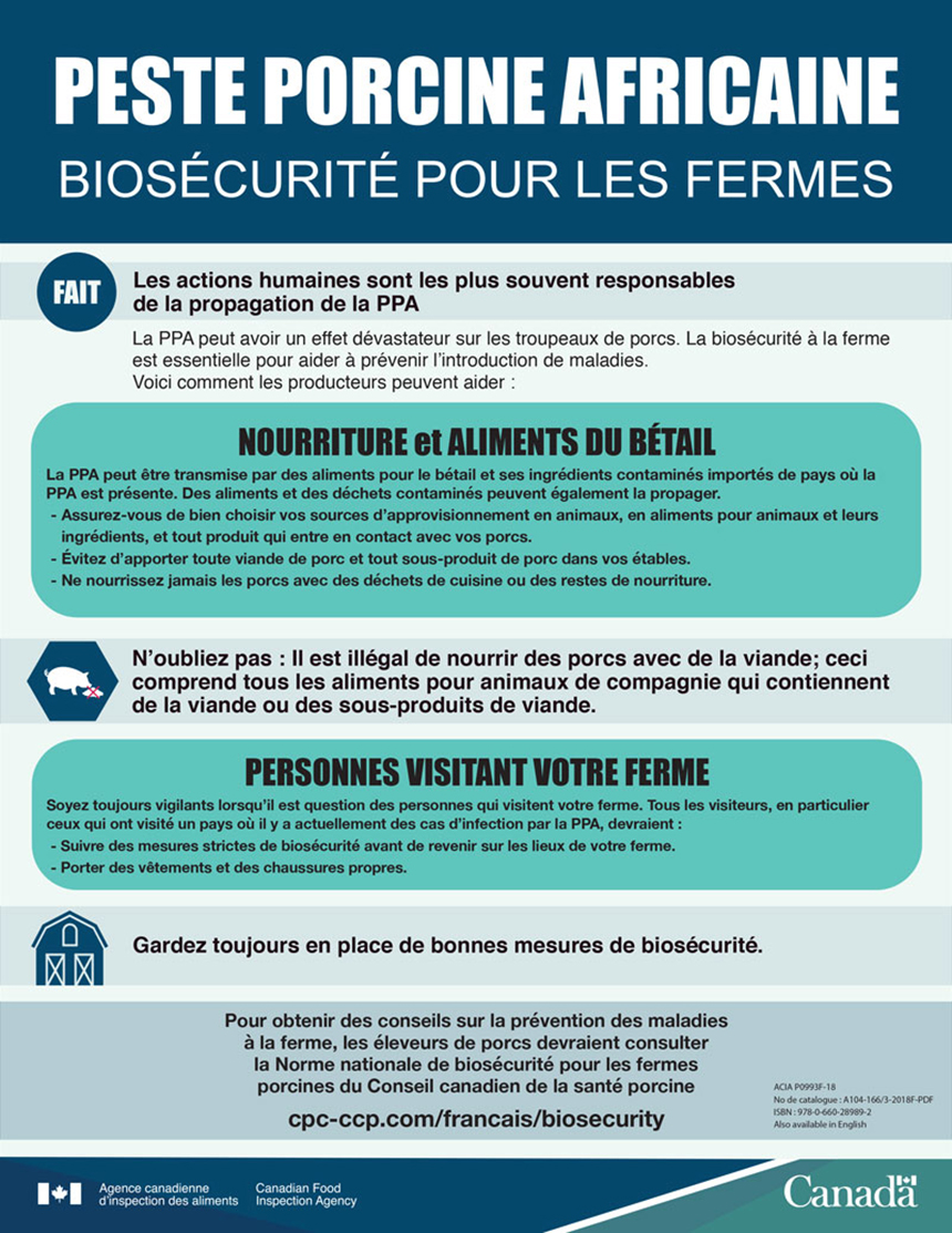 Description de l'infographie - Peste porcine africaine : biosécurité pour les fermes. Description ci-dessous.