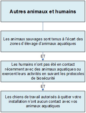 Les autres animaux, tels que les animaux sauvages et les chiens de travail, et les humains. La version textuelle suit.