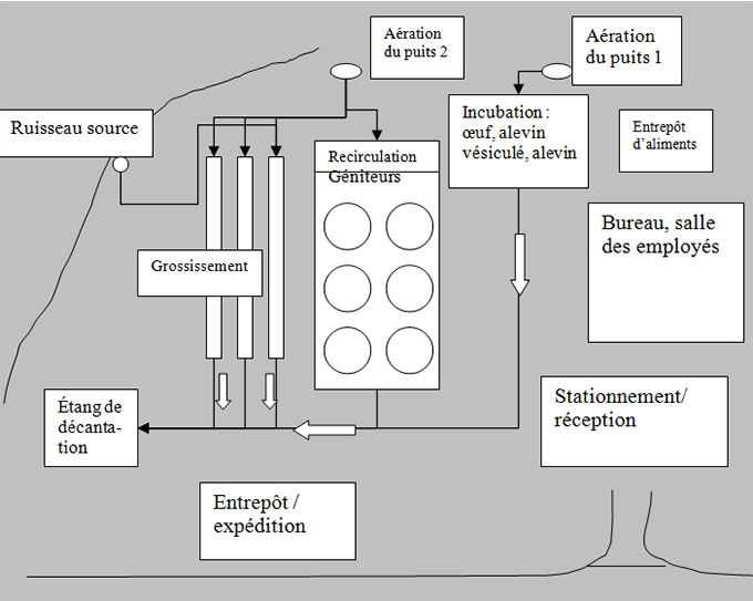 Exemple : 3. Ajouter les emplacements des animaux. Description ci-dessous.