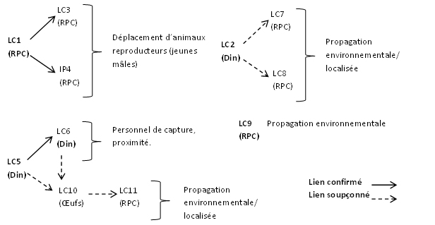 Photo - Propagation hypothétique de l'influenza aviaire hautement pathogène parmi les exploitations commerciales lors de l'éclosion de 2014 en Colombie-Britannique, d'après l'analyse des données épidémiologiques prélevées sur le terrain. Les lieu contaminé en gras sont les lieux d'infection à la source potentiels. Description ci-dessous.