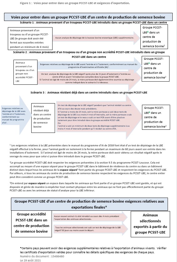 Figure 1 : Voies pour entrer dans un groupe PCCST-LBE et exigences d'exportation. Description ci-dessous.