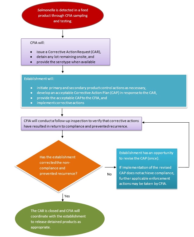 Picture - Summary of steps taken when Salmonella is detected. Description follows.