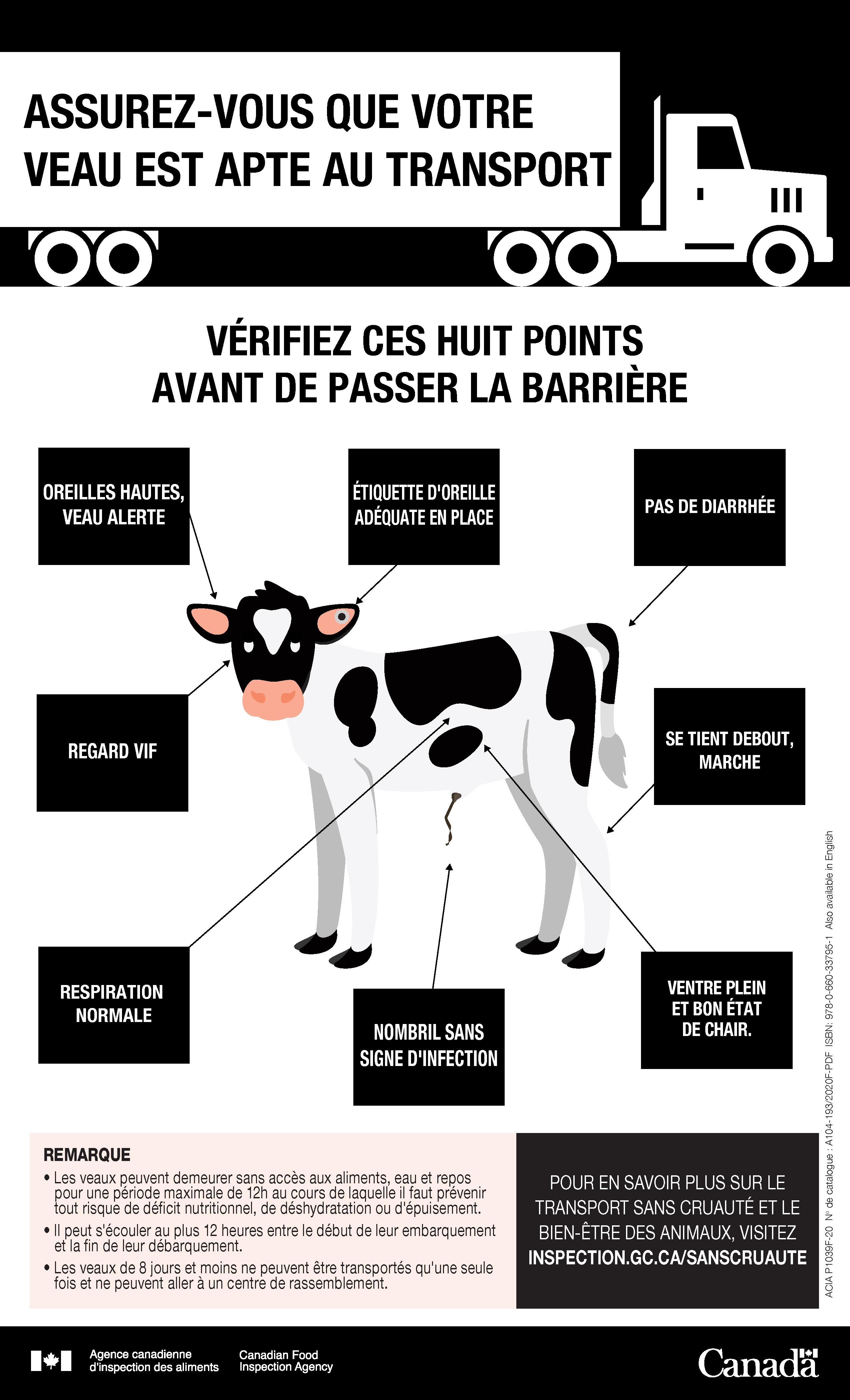Assurez-vous que votre veau est apte au transport. Description ci-dessous.