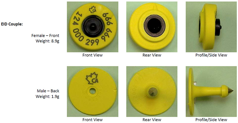 BOV-01-02 CFIA code image and info