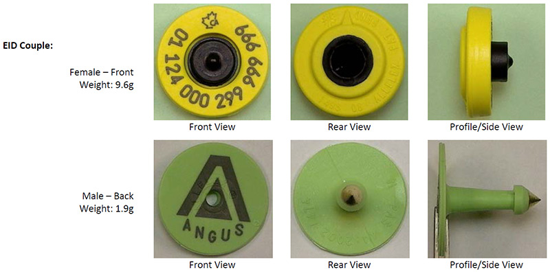 BOV-01-05 CFIA code image and info