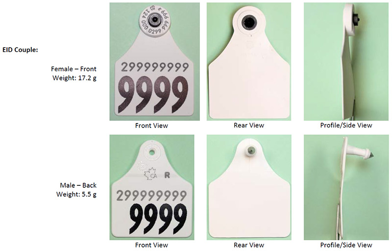 BOV-01-36 CFIA code image and info