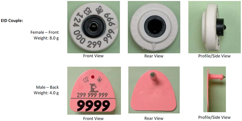 BOV-01-39 CFIA code image and info