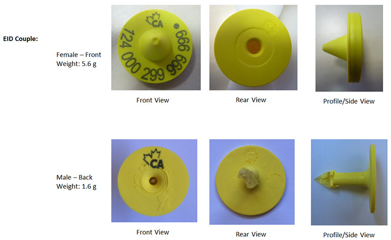 BOV-05-02 CFIA code image and info