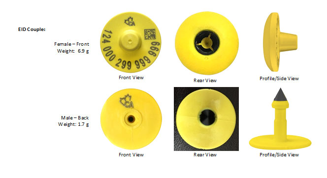 Picture - CFIA code: BOV-08-01A. Description follows.