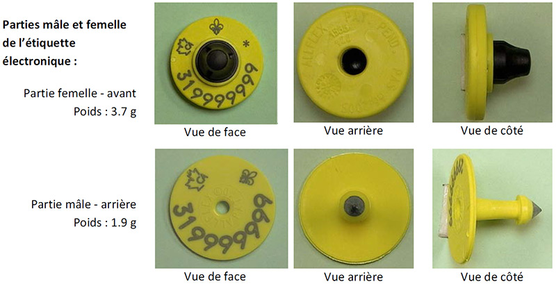 OVI-01-04A Code de l'ACIA et images/info