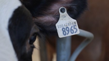 Pascal Lemire: Agriculteur