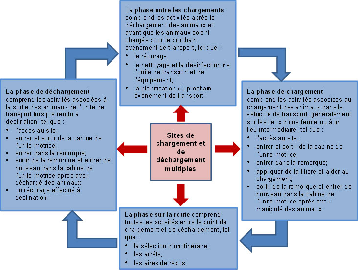 La relation entre les quatre phases de transport. La description suit.