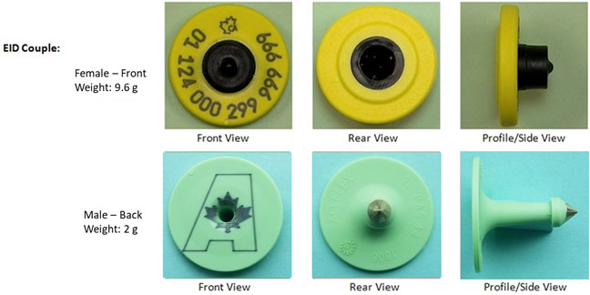 BOV-01-05A1 CFIA code image and info