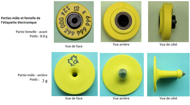 BOV-01-37A Code de l'ACIA et images/info