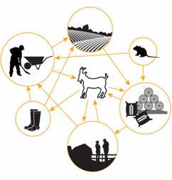 Figure 2 - The conceptualized diagram. Description follows.