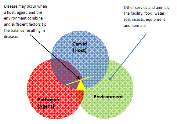 The disease triad. Description follows.