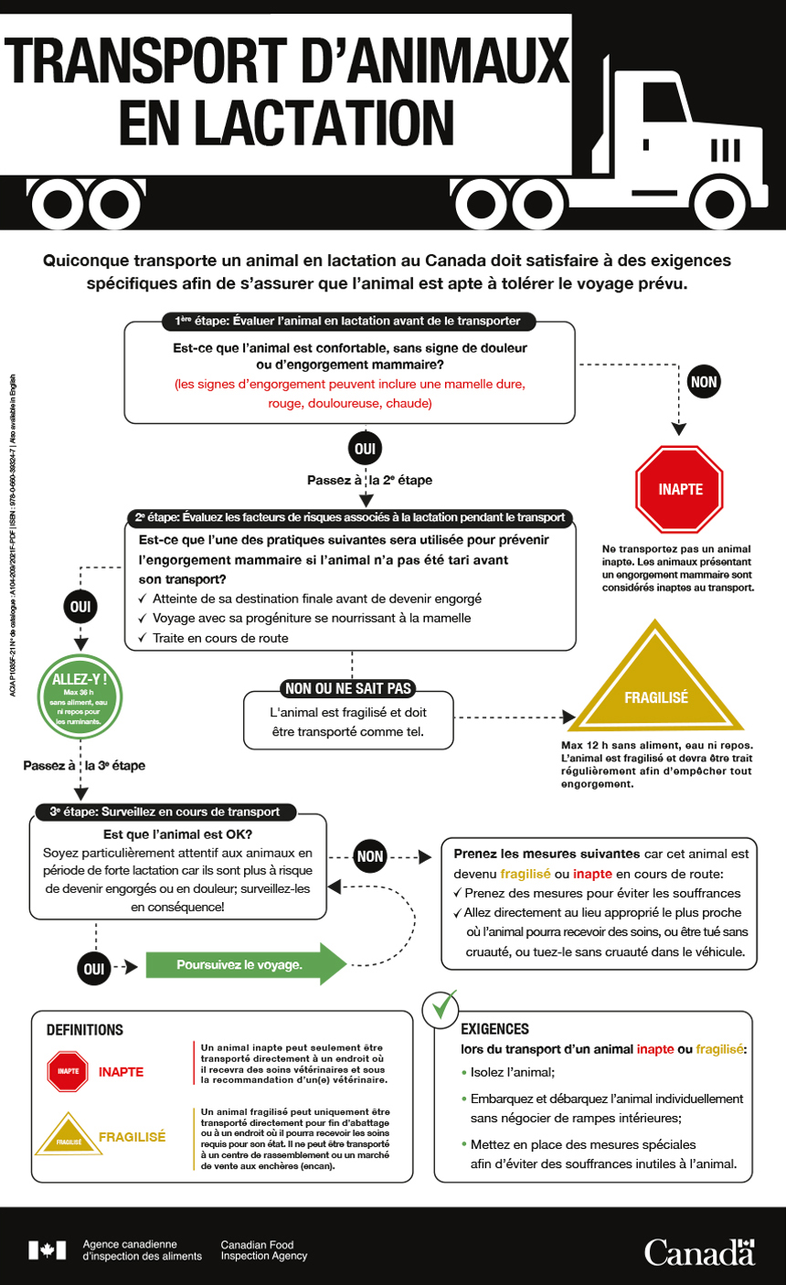 Transport d'animaux en lactation - description ci-dessous