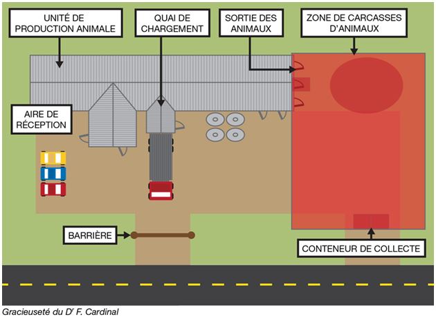 Illustration par Dr F Cardinal d'une zone de carcasse située à l'écart des unités de production d'une ferme.