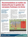 Image de PDF : Recommandations en matière de biosécurité pour la gestion des carcasses d'animaux à la ferme