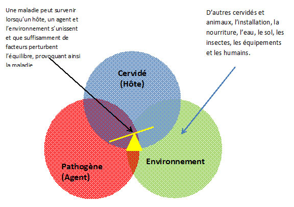 Triade des maladies. Description ci-dessous.