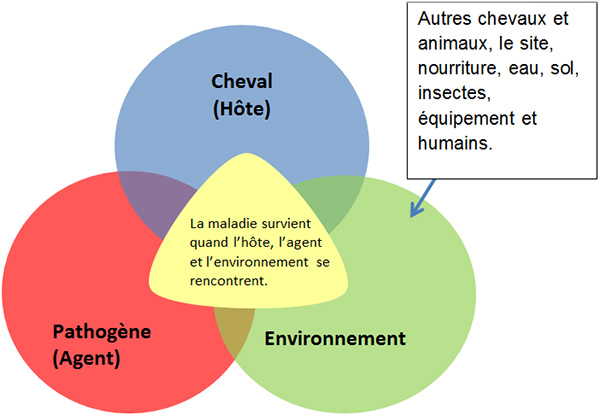 La triade des maladies