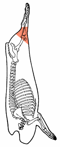 Fesse bout jarret entière