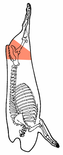 Fesse bout croupe entière