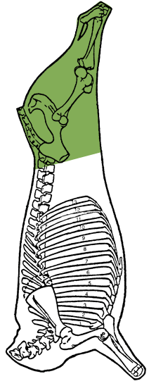 Description of Leg, Double
