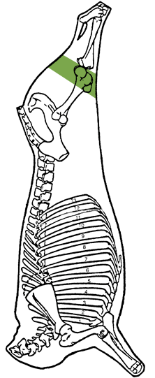 Description of heel of round