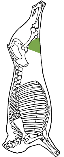 Description of sirloin tip