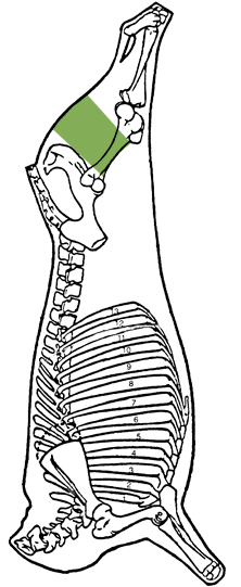 Description of round