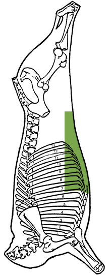 Description of Flank