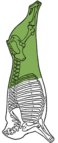 Description of hind half