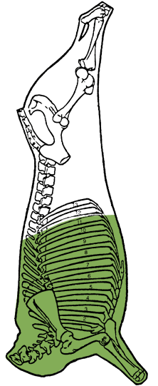 Description of front quarter