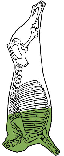 Description of front double