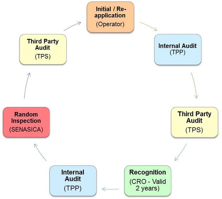 Click on image for larger view. The 8 steps involved in the CRRS process. Description follows.