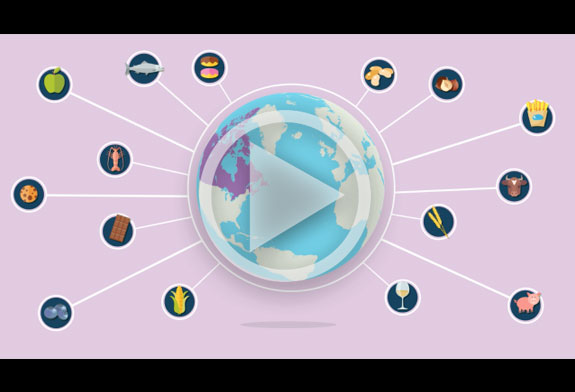A graphic of the globe. There are many lines stemming from the globe, at the end of each line there is a different food product. There is a play button over the image to show that it is a link to the Safe Food for Canadians Export Video.